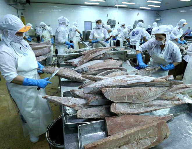 Le Vietnam vise 300 milliards de dollars d’exportations en 2020 ảnh 2 Le Vietnam vise 300 milliards de dollars d’exportations en 2020 ảnh 2