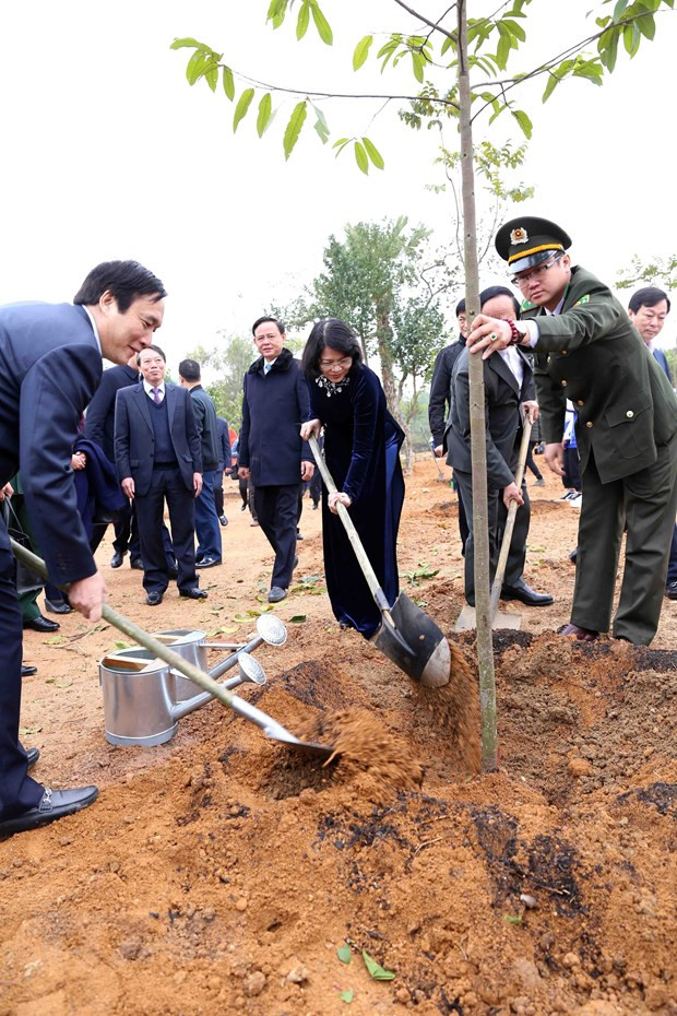 Lancement de la Fête de plantation d’arbres aux temples des rois Hung à Phu Tho ảnh 2 Lancement de la Fête de plantation d’arbres aux temples des rois Hung à Phu Tho ảnh 2