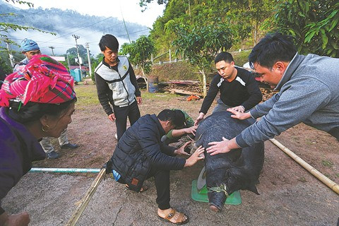 Le Têt traditionnel des Hà Nhi à Diên Biên ảnh 1 Le Têt traditionnel des Hà Nhi à Diên Biên ảnh 1