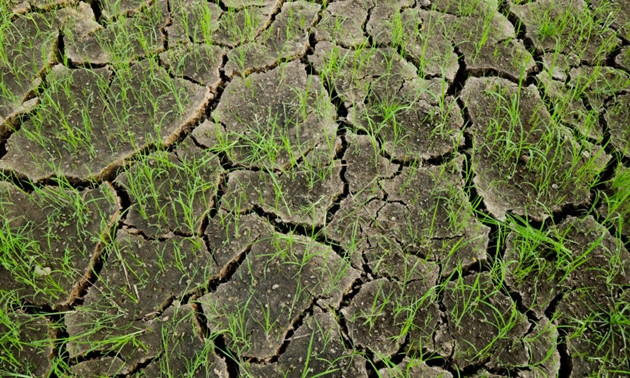 Face à la sécheresse : la Thaïlande accélère la construction de réservoirs d’eau ảnh 1