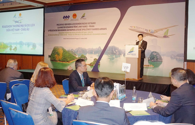 Bientôt une ligne aérienne directe entre le Vietnam et la République tchèque ảnh 1