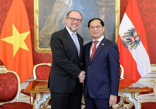 Le ministre vietnamien des Affaires étrangères rencontre son homologue autrichien ảnh 1 Le ministre vietnamien des Affaires étrangères rencontre son homologue autrichien ảnh 1