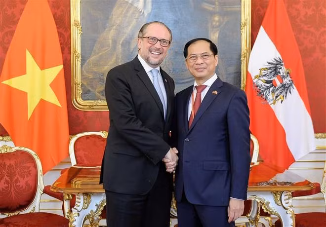 Le ministre vietnamien des Affaires étrangères rencontre son homologue autrichien ảnh 1