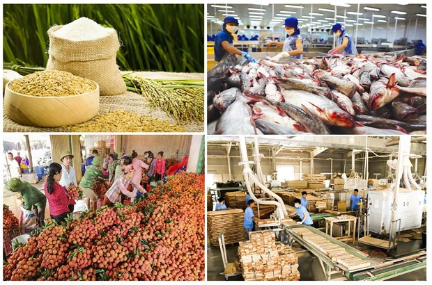 Exportation de produits agricoles: un record sans précédent ảnh 1 Exportation de produits agricoles: un record sans précédent ảnh 1
