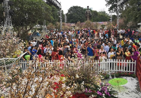 Sakura: Quand Hanoi se met à l’heure japonaise ảnh 2 Sakura: Quand Hanoi se met à l’heure japonaise ảnh 2