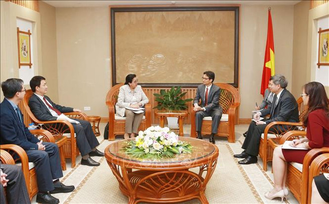Le vice-PM Vu Duc Dam reçoit la directrice générale adjointe de l’AIEA ảnh 1 Le vice-PM Vu Duc Dam reçoit la directrice générale adjointe de l’AIEA ảnh 1