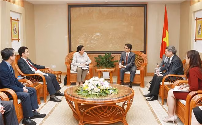 Le vice-PM Vu Duc Dam reçoit la directrice générale adjointe de l’AIEA ảnh 1