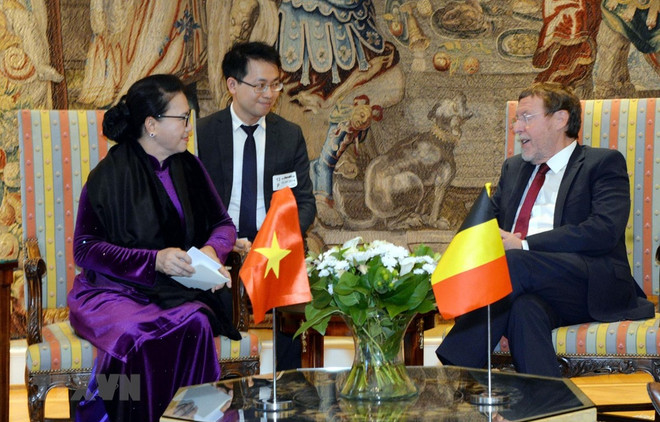 Vietnam-Belgique : entrevue entre Nguyên Thi Kim Ngân et Siegfried Bracke ảnh 1 Vietnam-Belgique : entrevue entre Nguyên Thi Kim Ngân et Siegfried Bracke ảnh 1