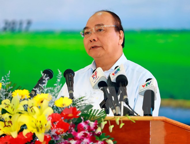 Pour le développement durable de la riziculture dans le delta du Mékong ảnh 1 Pour le développement durable de la riziculture dans le delta du Mékong ảnh 1