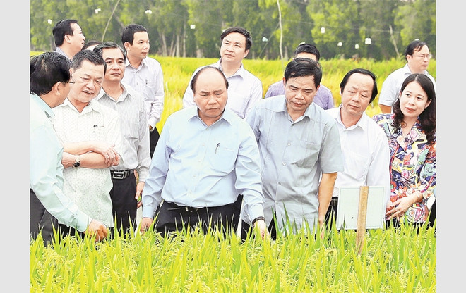 Le PM exhorte An Giang à élever la valeur ajoutée des produits agricoles ảnh 2 Le PM exhorte An Giang à élever la valeur ajoutée des produits agricoles ảnh 2