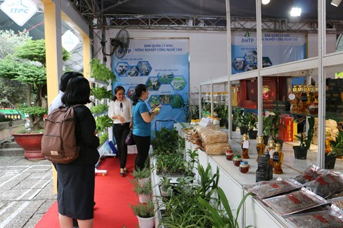 HCM-Ville: La valeur de production agricole augmente de 6,5% au mois de janvier ảnh 1