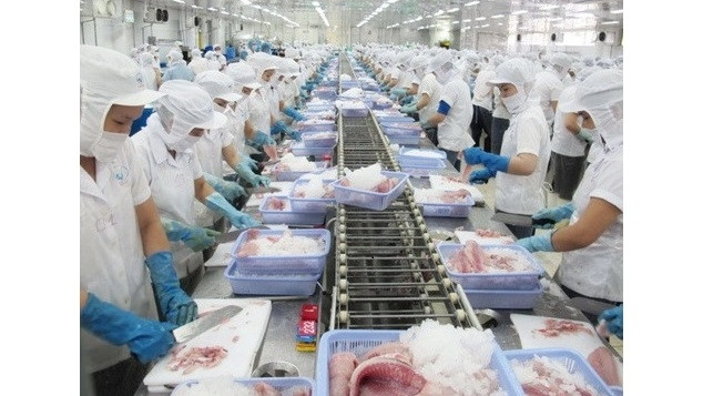 Poissons-chats: 57 producteurs vietnamiens s’assurent des normes d'export aux Etats-Unis ảnh 1 Poissons-chats: 57 producteurs vietnamiens s’assurent des normes d'export aux Etats-Unis ảnh 1