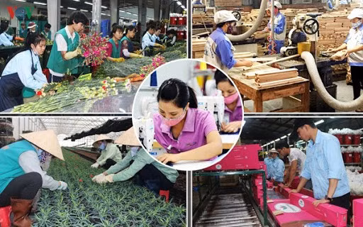 Vers une relance post-COVID-19 ảnh 1