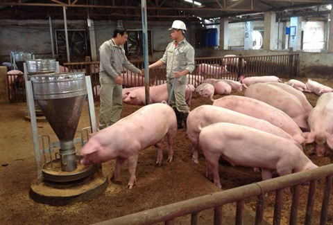 Assurer la sécurité alimentaire est une priorité vietnamienne ảnh 2 Assurer la sécurité alimentaire est une priorité vietnamienne ảnh 2