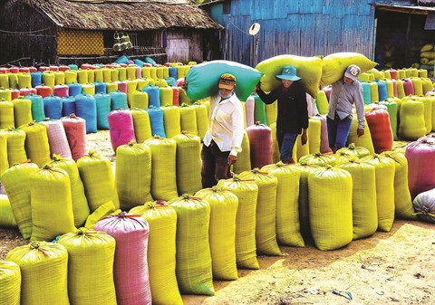 La sécurité alimentaire, un des grands enjeux ảnh 1 La sécurité alimentaire, un des grands enjeux ảnh 1
