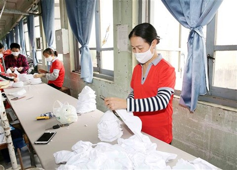 Les masques vietnamiens prêts à être exportés aux États-Unis et en Europe ảnh 1 Les masques vietnamiens prêts à être exportés aux États-Unis et en Europe ảnh 1