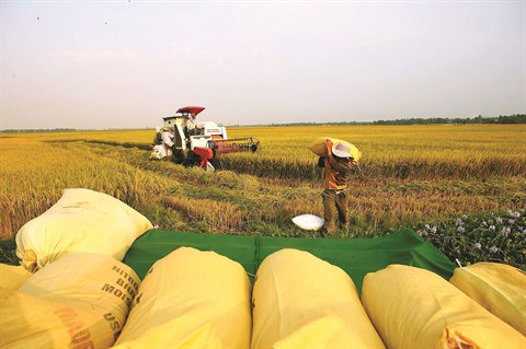 Assurer la sécurité alimentaire est une priorité vietnamienne ảnh 1 Assurer la sécurité alimentaire est une priorité vietnamienne ảnh 1