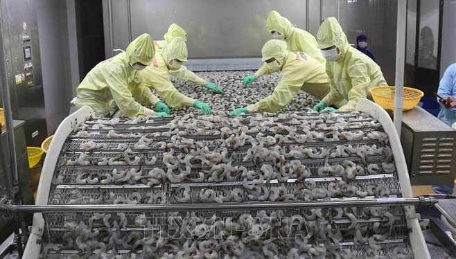 Bilan économique des 6 premiers mois: le "double objectif" toujours atteint ảnh 1