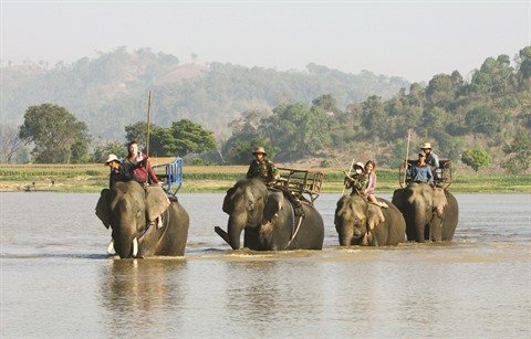 Les petits plaisirs d’une balade à dos d’éléphant à Buôn Dôn ảnh 2 Les petits plaisirs d’une balade à dos d’éléphant à Buôn Dôn ảnh 2