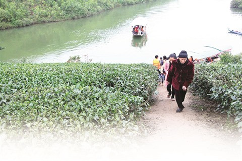 Câu Cau, une destination de Nghê An qui ne laisse pas indifférent ảnh 2 Câu Cau, une destination de Nghê An qui ne laisse pas indifférent ảnh 2