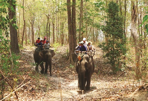 Les petits plaisirs d’une balade à dos d’éléphant à Buôn Dôn ảnh 1 Les petits plaisirs d’une balade à dos d’éléphant à Buôn Dôn ảnh 1