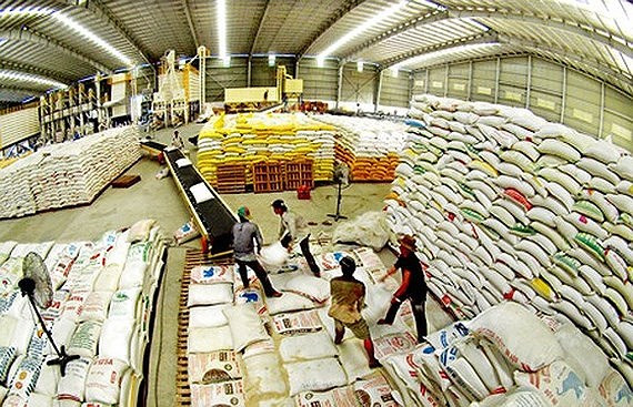 Procéder à des changements plus actifs dans la restauration agricole ảnh 1 Procéder à des changements plus actifs dans la restauration agricole ảnh 1