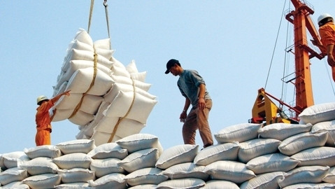 Le Vietnam cherche à élaborer un label pour son riz ảnh 1 Le Vietnam cherche à élaborer un label pour son riz ảnh 1