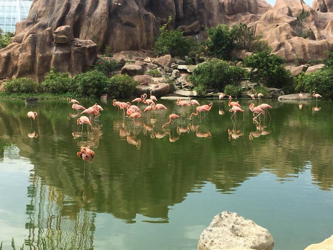 La province de Khanh Hoa appelle les touristes de l’ASEAN ảnh 1 La province de Khanh Hoa appelle les touristes de l’ASEAN ảnh 1