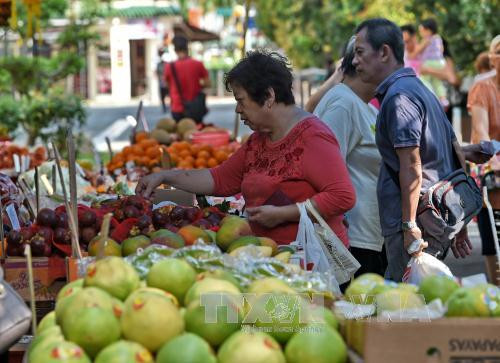 Le PIB annuel de Singapour augmente plus fortement que prévu ảnh 1 Le PIB annuel de Singapour augmente plus fortement que prévu ảnh 1