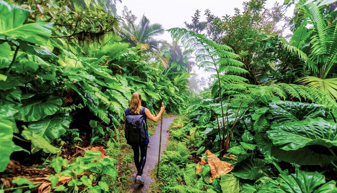 Les localités accélèrent la transformation numérique du tourisme ảnh 1 Les localités accélèrent la transformation numérique du tourisme ảnh 1