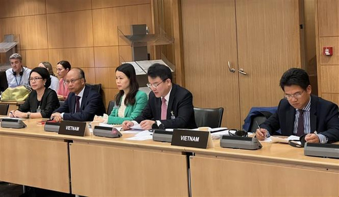 Réunion avec l’OCDE sur le projet de Rapport économique sur le Vietnam ảnh 2