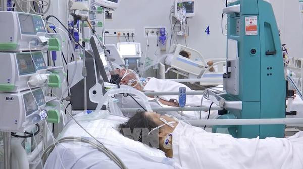 COVID-19 : près de 3.700 nouveaux cas signalés en 24 heures ảnh 1 COVID-19 : près de 3.700 nouveaux cas signalés en 24 heures ảnh 1