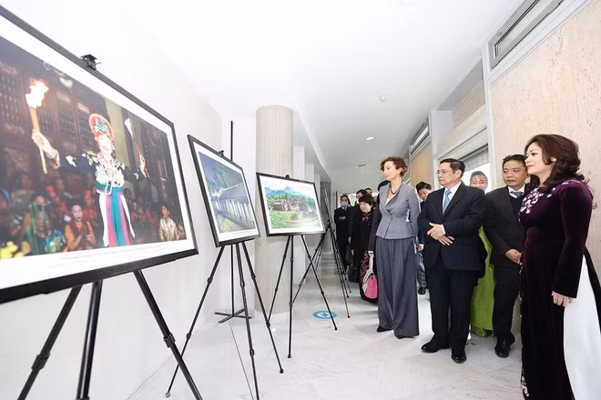 "Le Vietnam est un modèle de coopération fructueuse avec l'UNESCO" ảnh 2