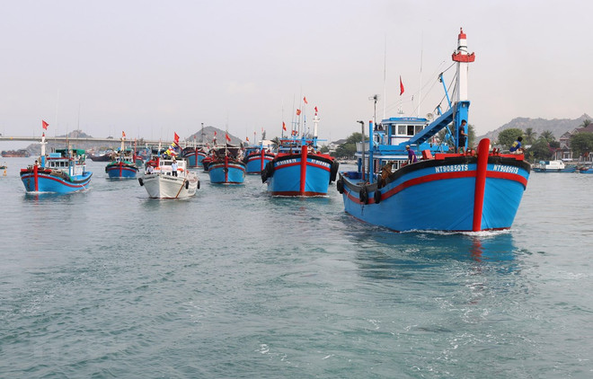 Pêche INN : une délégation de la CE se rendra au Vietnam ảnh 1 Pêche INN : une délégation de la CE se rendra au Vietnam ảnh 1