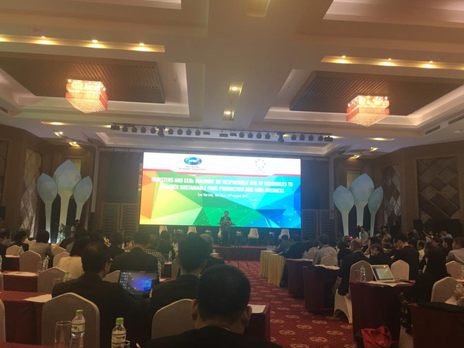 L'APEC discute de l’utilisation avec responsabilité des ressources ảnh 1 L'APEC discute de l’utilisation avec responsabilité des ressources ảnh 1