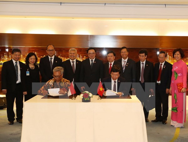 Vietnam et Indonésie promeuvent la coopération dans des domaines ảnh 1 Vietnam et Indonésie promeuvent la coopération dans des domaines ảnh 1
