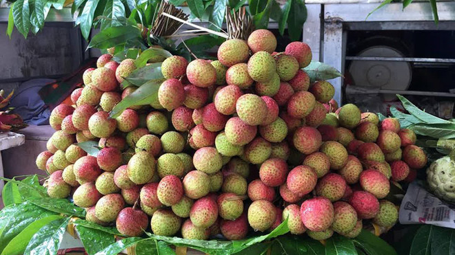 Neuf tonnes de litchi "U hông" du Vietnam expédiées vers l'Australie ảnh 1