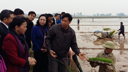Nguyên Thi Kim Ngân salue le modèle de la Nouvelle ruralité à Hanoi ảnh 1 Nguyên Thi Kim Ngân salue le modèle de la Nouvelle ruralité à Hanoi ảnh 1