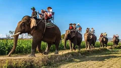 Découvrir le Vietnam via 100 excellentes photos ảnh 1