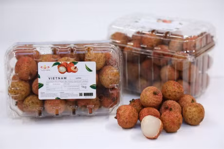 Des litchis de Bac Giang vendus sur le marché thaïlandais ảnh 1 Des litchis de Bac Giang vendus sur le marché thaïlandais ảnh 1
