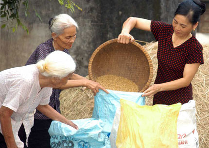 Séminaire sur le vieillissement de la population à Hanoï ảnh 1 Séminaire sur le vieillissement de la population à Hanoï ảnh 1