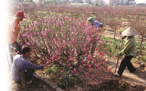 Quatre villages de métiers de Hanoi à visiter au Têt du Singe ảnh 1