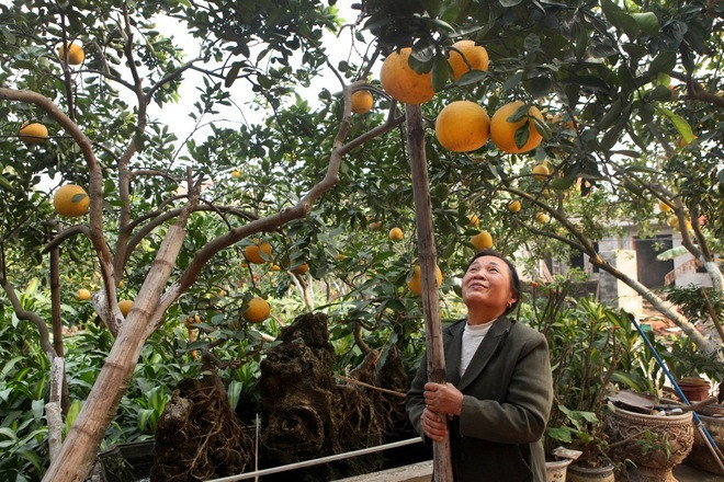 Quatre villages de métiers de Hanoi à visiter au Têt du Singe ảnh 3