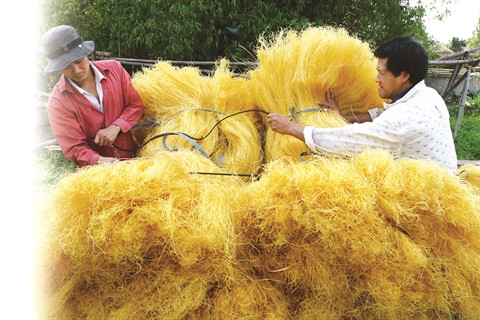 Quatre villages de métiers de Hanoi à visiter au Têt du Singe ảnh 4