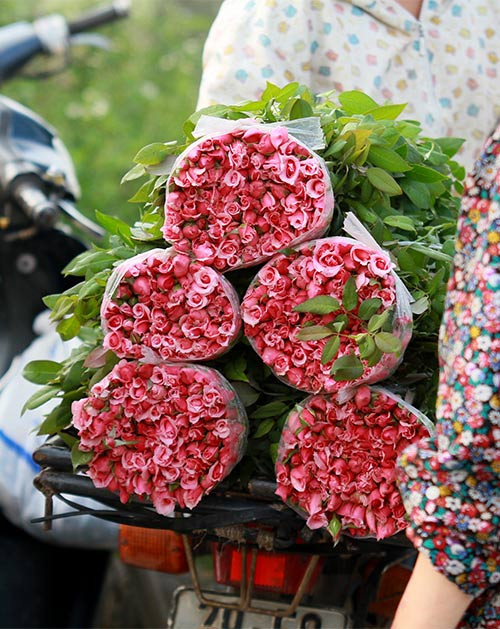 Les marchés des fleurs, élément culturel du Têt ảnh 3 Les marchés des fleurs, élément culturel du Têt ảnh 3