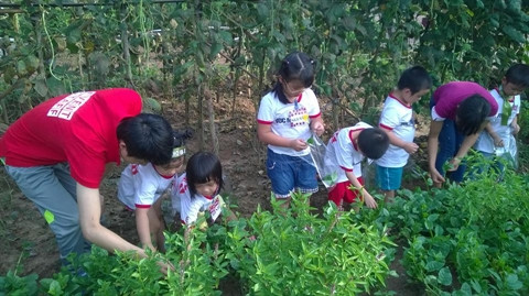 Le bonheur des enfants est dans le pré ảnh 2 Le bonheur des enfants est dans le pré ảnh 2