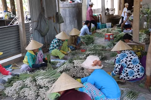 Des acquis dans la restructuration agricole ảnh 2