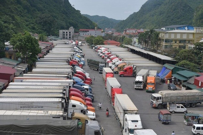Nouveau coronavirus : difficultés pour les exportations de certains produits agricoles ảnh 1 Nouveau coronavirus : difficultés pour les exportations de certains produits agricoles ảnh 1