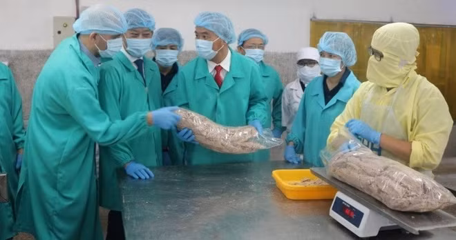 Le Vietnam travaille dur pour lutter contre la pêche INN ảnh 3 Le Vietnam travaille dur pour lutter contre la pêche INN ảnh 3