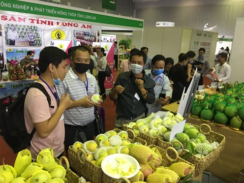 Fruits et légumes : la qualité et la sécurité sanitaire requises par l'EVFTA ảnh 2  Fruits et légumes : la qualité et la sécurité sanitaire requises par l'EVFTA ảnh 2